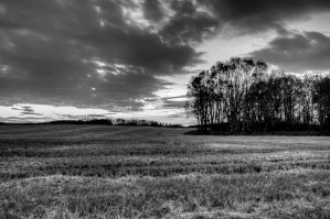 After Prairie Harvest